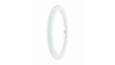 Lâmpada Circular LED 20W